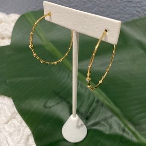 Stella and Dot Gold Hoop Earrings